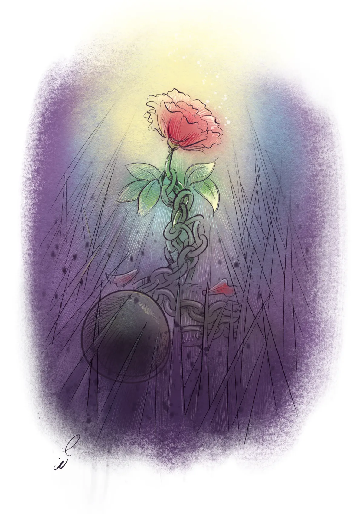 Illustration — rose rouge s'élevant dans la lumière, Sana Hosseinpour