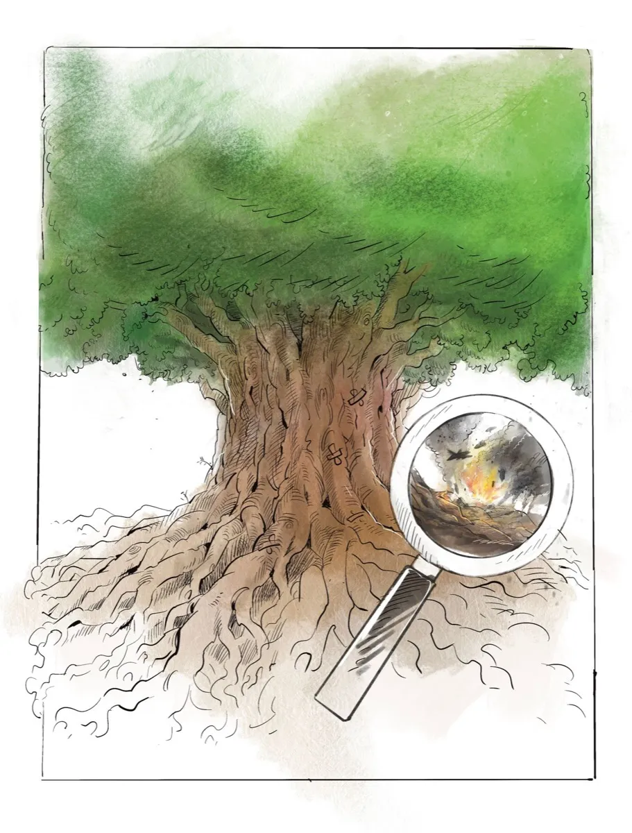 Illustration — grand arbre, loupe révélant une destruction cachée, Sana Hosseinpour
